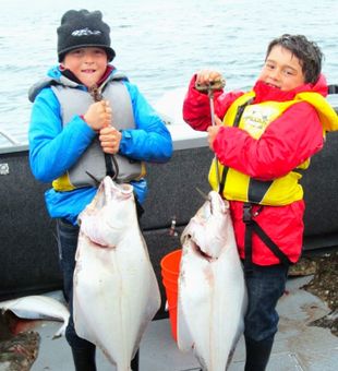 Scenic Cook Inlet fishing in Homer, Alaska.